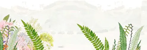 2020年篮球训练总结与反思怎么写_0